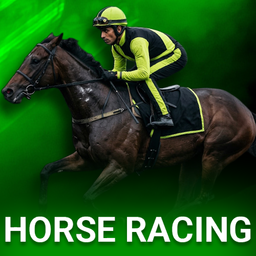 Try your luck with Winwin horse racing betting.